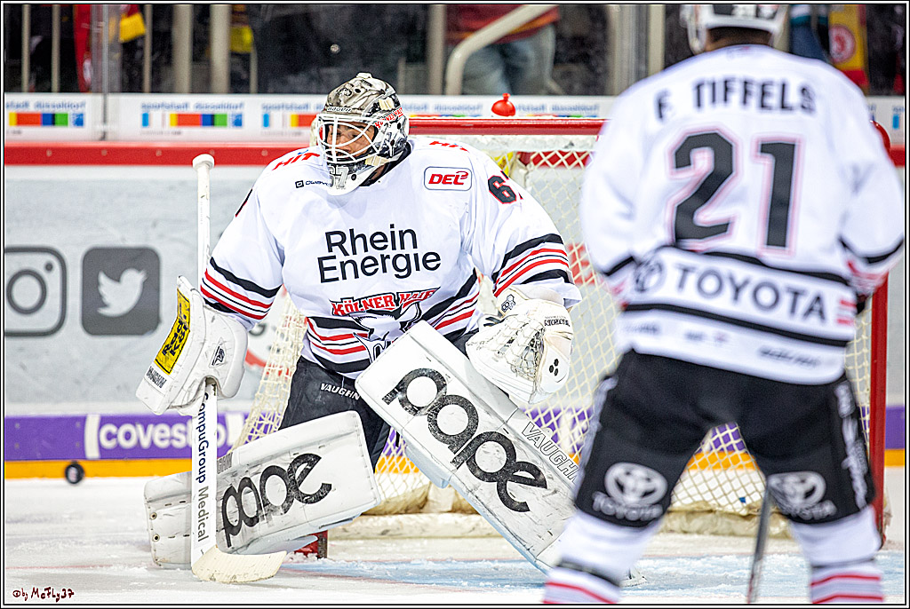 DEL; Duesseldorfer EG - Koelner Haie; Duesseldorf, 29.11.2019